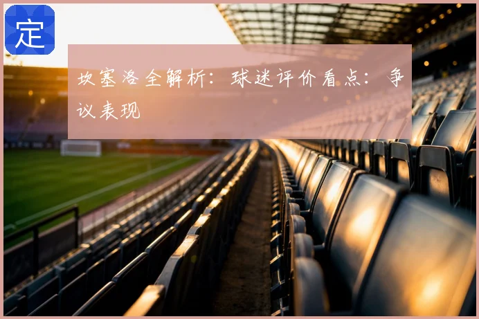 坎塞洛全解析：球迷评价看点：争议表现